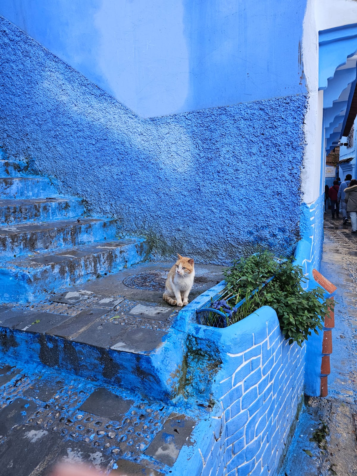 Chefchaouen