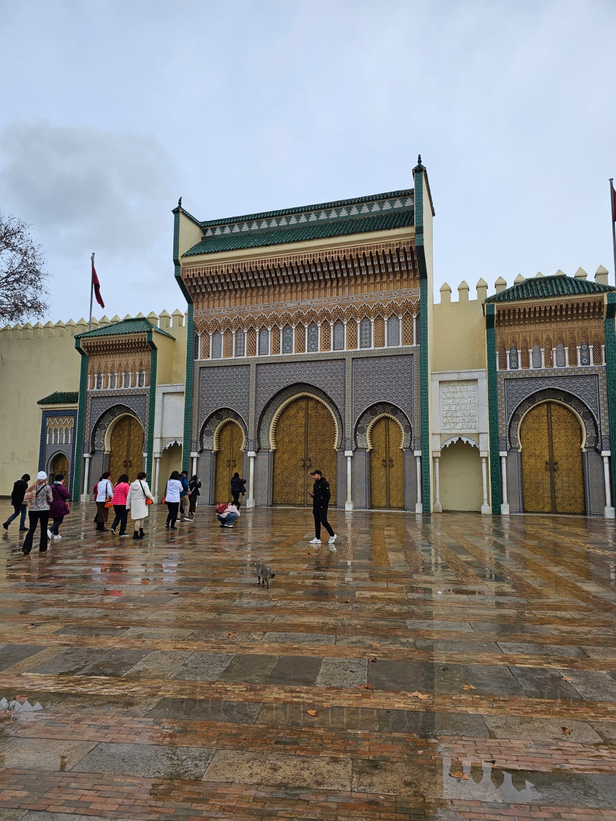 Fez